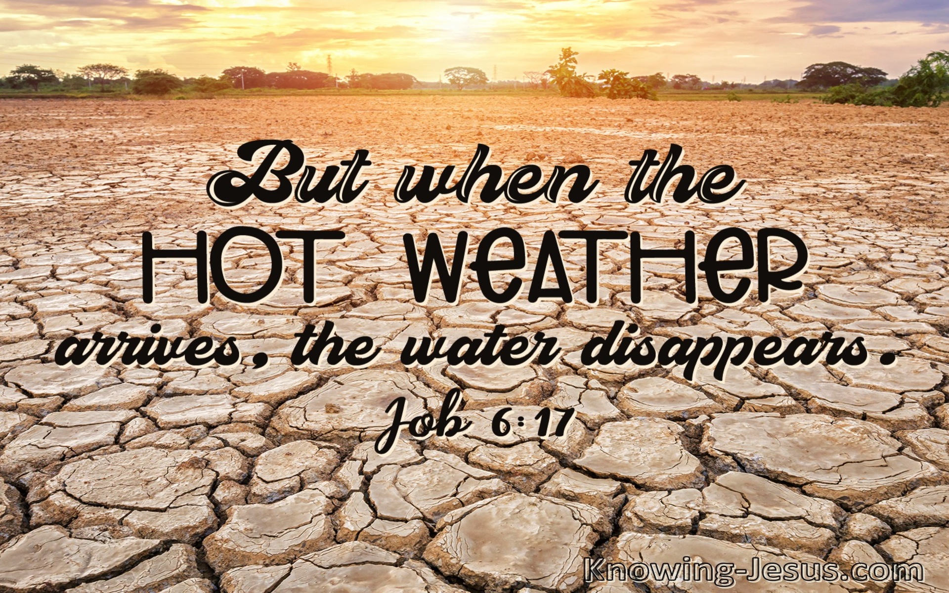 Job 6:17 When Hot Weather Arrives Water Disappears (brown)